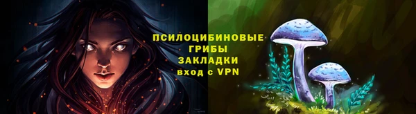спиды Кинешма